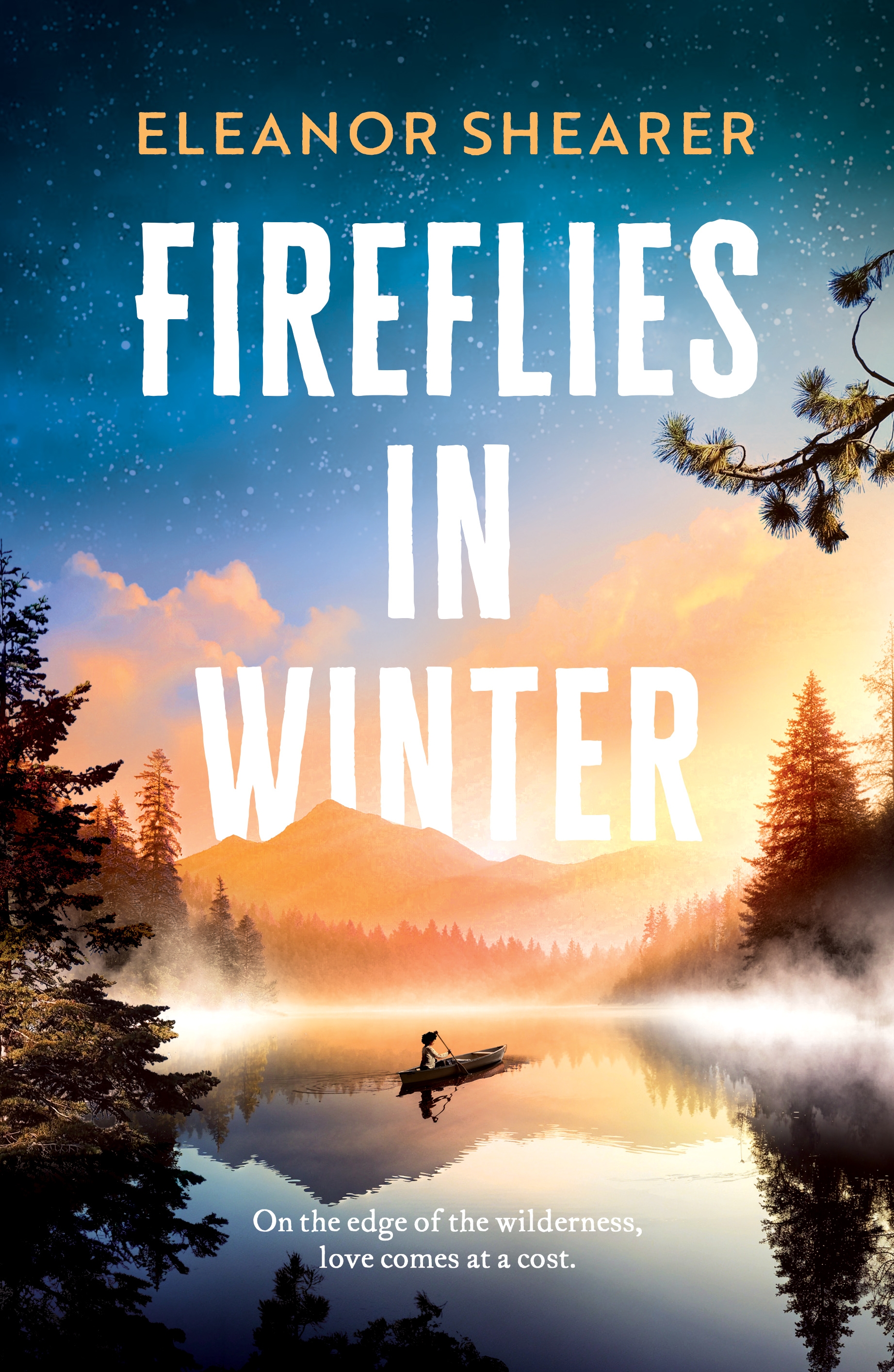 Fireflies in Winter by Eleanor Shearer — book cover